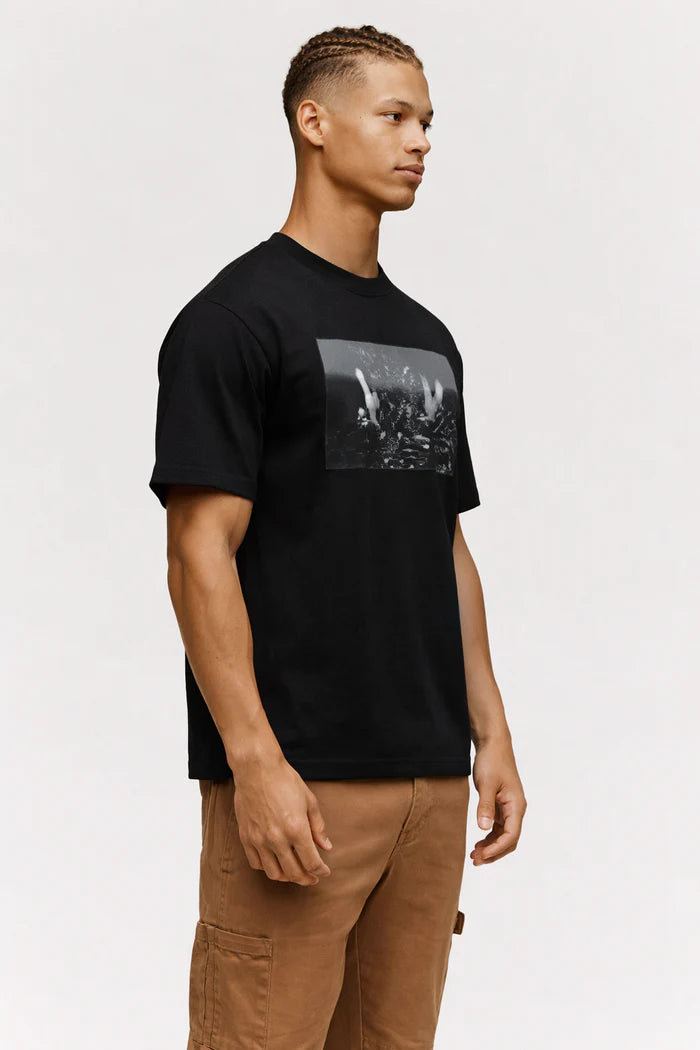 Psycho Bunny Men's/Hombre T-Shirt/Camisetas al por Mayor - Precio por unidad: $51.00 USD