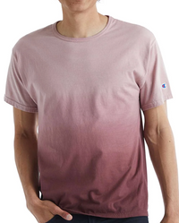 Champion Men's/Hombre T-Shirt/Camisetas al por Mayor - Precio por unidad: $11.75 USD